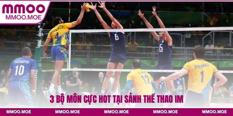 3 bộ môn cực hot tại sảnh Thể thao IM