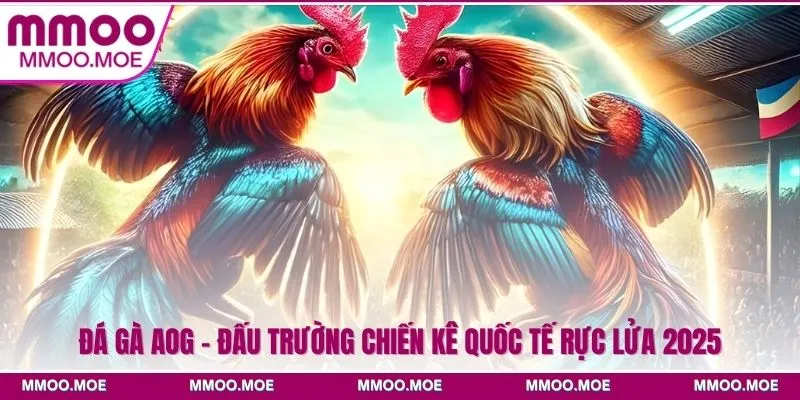 Đá Gà AOG - Đấu Trường Chiến Kê Quốc Tế Rực Lửa 2025