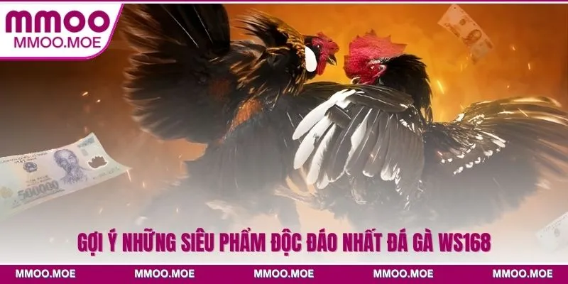 Gợi ý những siêu phẩm độc đáo nhất đá gà Ws168