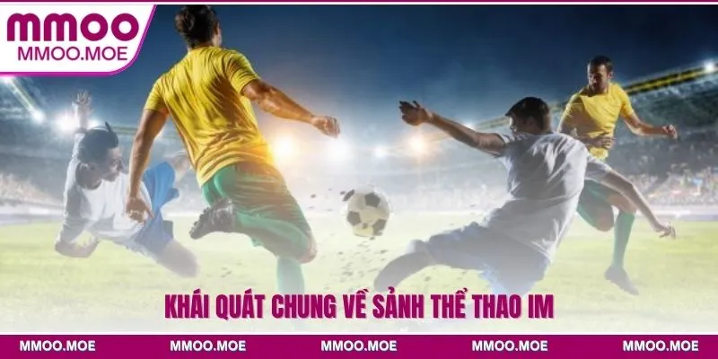 Khái quát chung về sảnh Thể thao IM