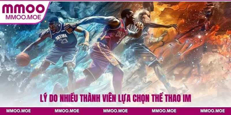Lý do nhiều thành viên lựa chọn Thể thao IM