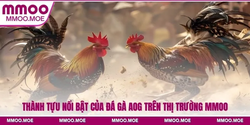 Thành tựu nổi bật của đá gà AOG trên thị trường MMOO