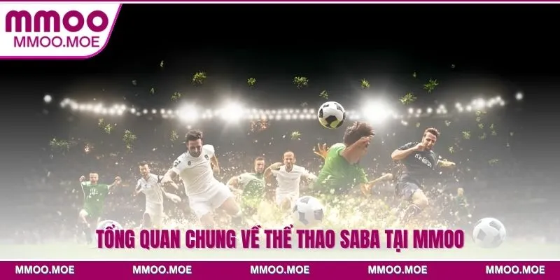 Tổng quan chung về Thể thao SABA tại MMOO